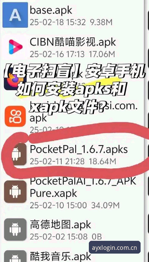 AYX爱游戏平台官网入口与第三方渠道对比：ayx爱游戏怎么样安装教程全解析