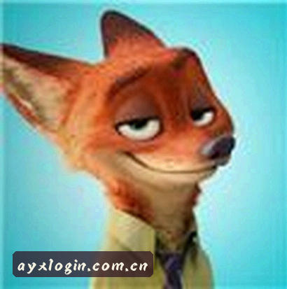 User
